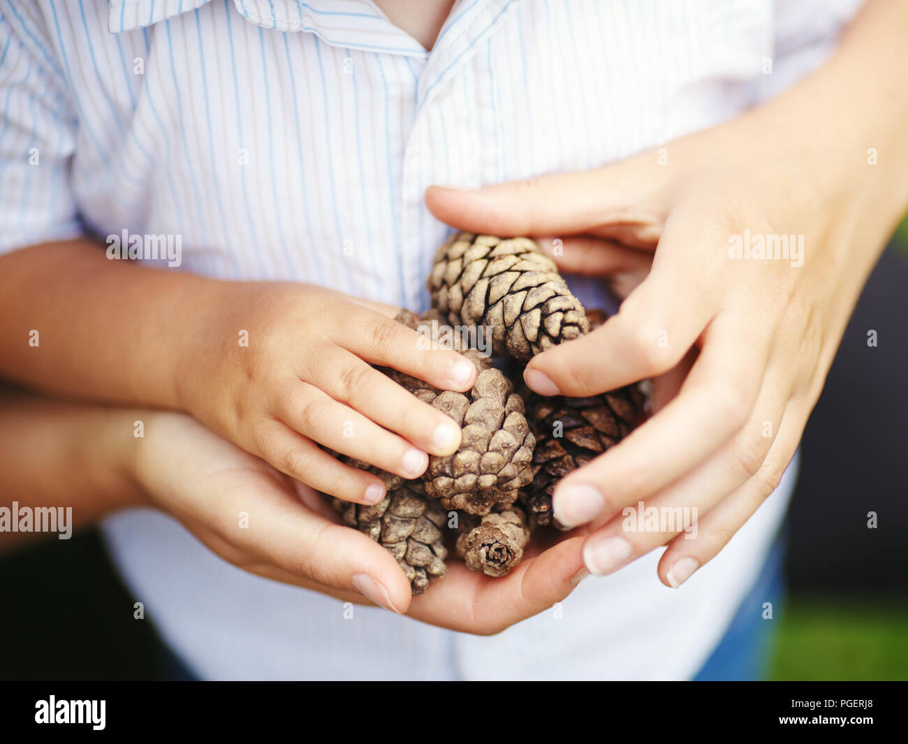 Closeup macro shot image d'enfant avec mère parent tenant un tas de pommes de pin, tonique avec des filtres d'Instagram, retro style vintage, effet du film, se Banque D'Images
