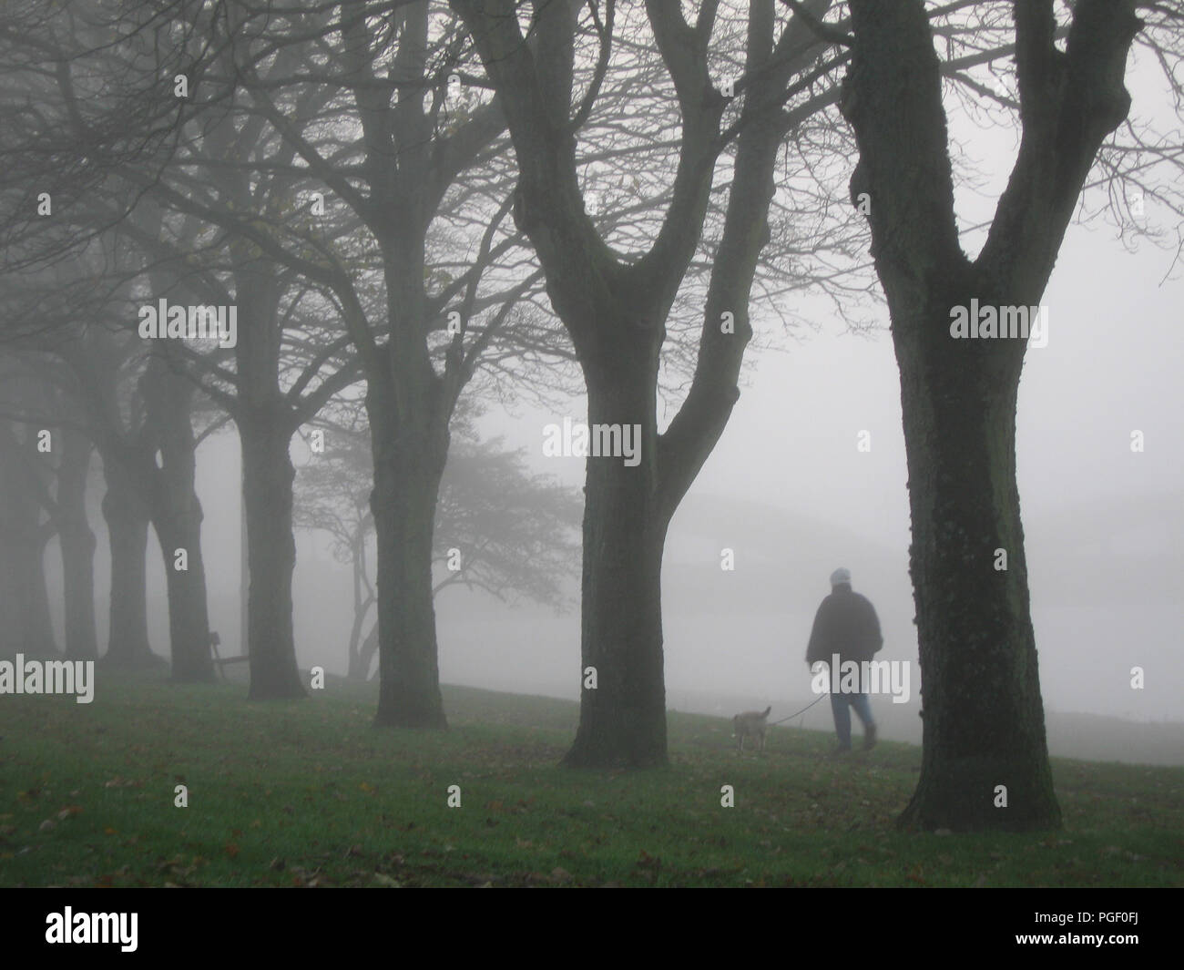 Un épais brouillard descend sur la rivière Dee et Kirkcudbright, Dumfries et Galloway. Un homme promène son chien le long de la Dee à pied, à côté de la rivière Dee. Il est très calme et les arbres sont enveloppées dans le brouillard Banque D'Images