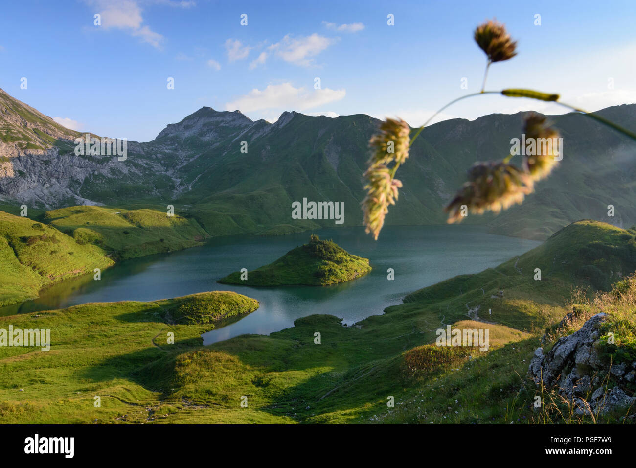 Schrecksee Allgäuer Alpen : lac, fleurs, ALP, Schwaben, Allgäu, souabe, Bayern, Bavière, Allemagne Banque D'Images