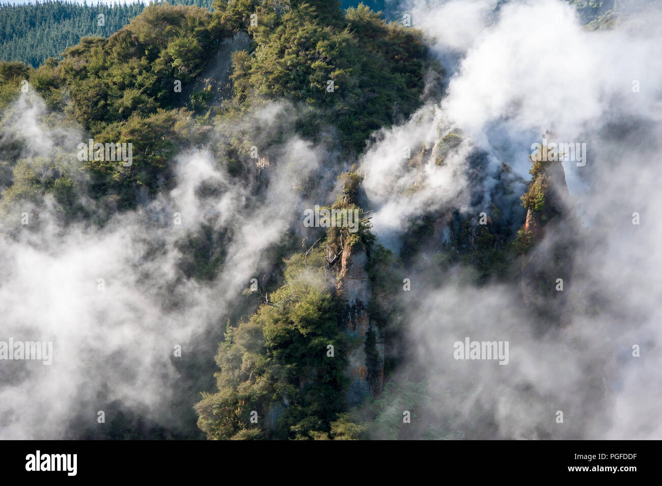 Poêle Lac, la Vallée volcanique de Waimangu, Nouvelle-Zélande. L'augmentation de la vapeur d'air dans un paysage de forêt préhistorique. Banque D'Images