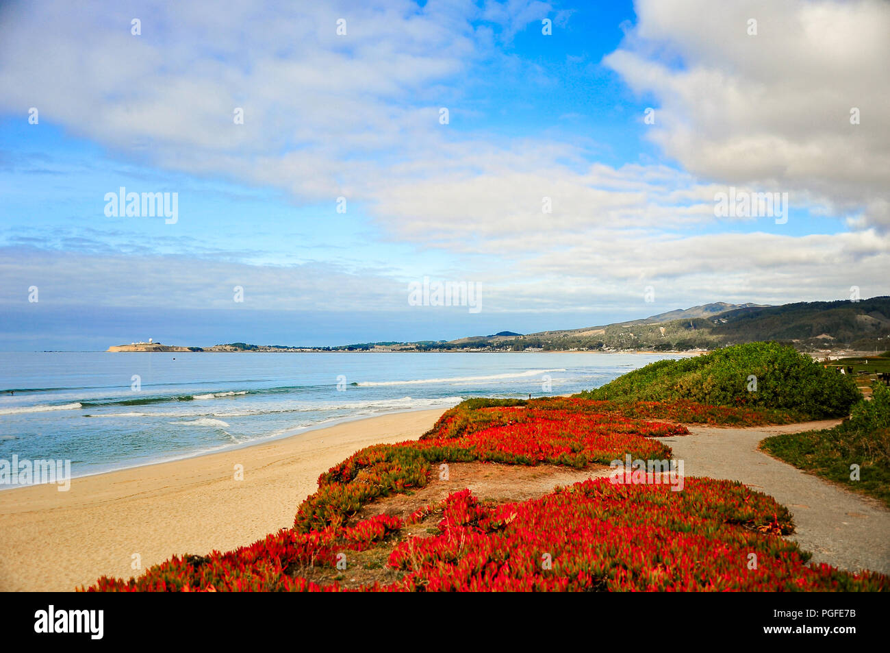 Jolie paysage marin de l'océan Pacifique, à Pebble Beach, près de Monterey, Californie. Fond brumeux avec le fracas des vagues, sable, rochers et nuage bleu ciel Banque D'Images