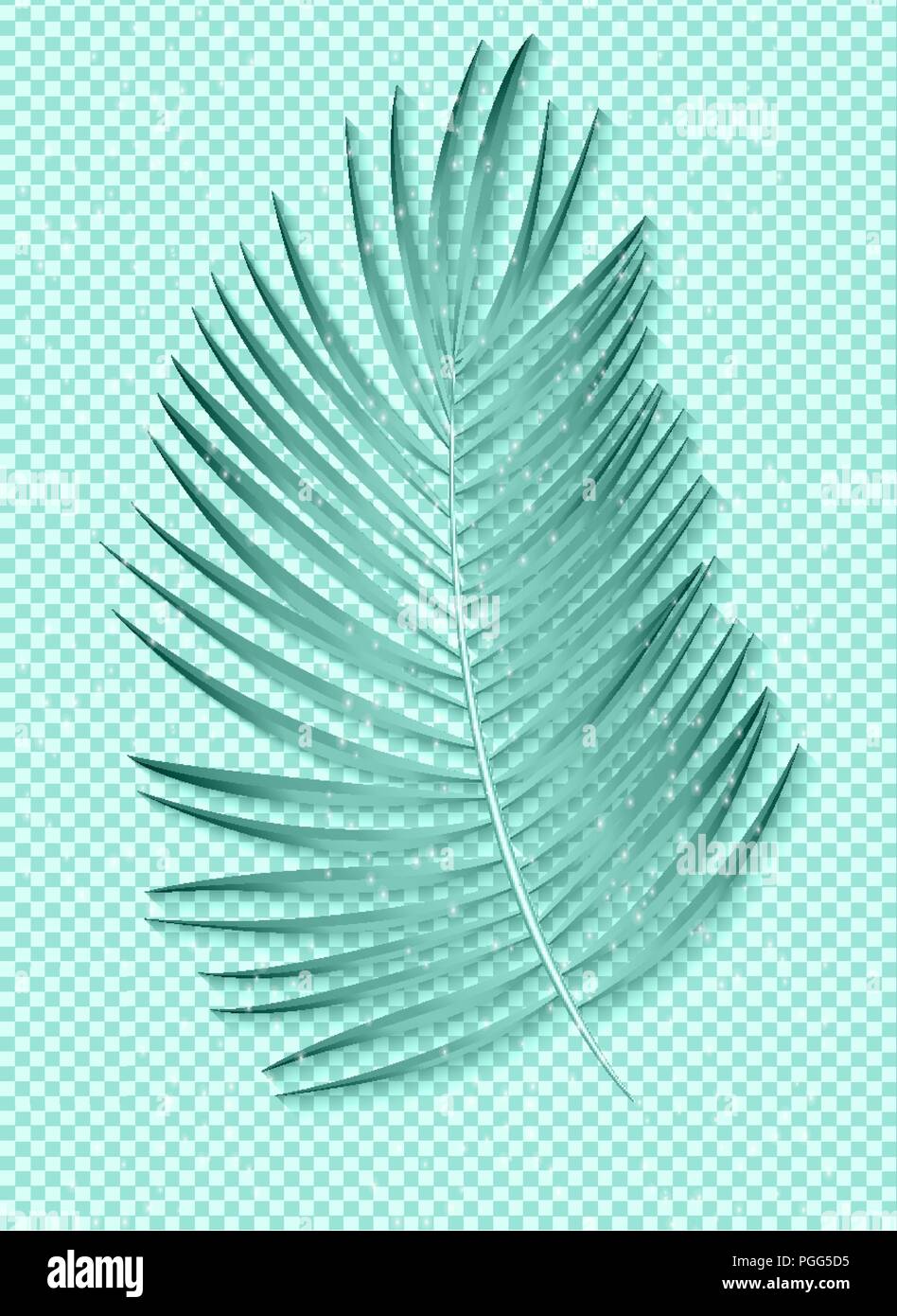 Feuille de palmier magnifique sur fond transparent. Vector Illustration Illustration de Vecteur