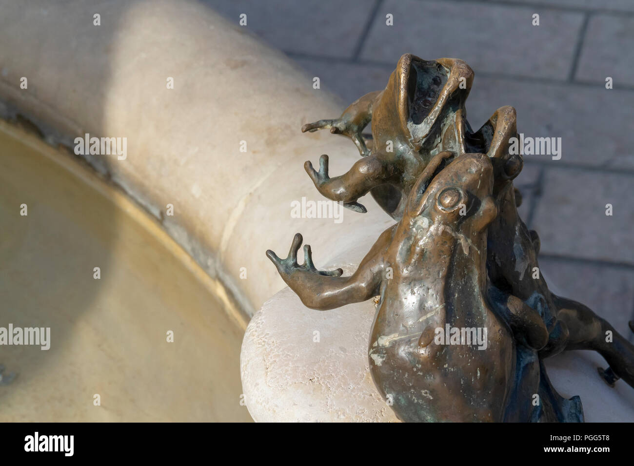 Francia, Regione della Borgogna, Città di Digione : fontana con ornamento raffigurante rane Banque D'Images