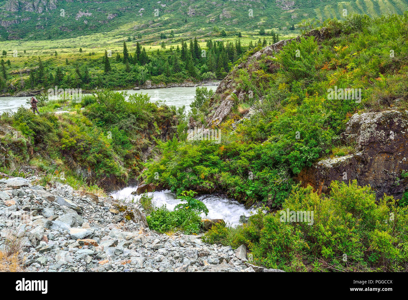 Mountain Creek sous des falaises entre les rochers qui se jettent dans la rivière Katun en montagnes de l'Altaï, en Russie - beau paysage d'été. Beauté de la natur Banque D'Images