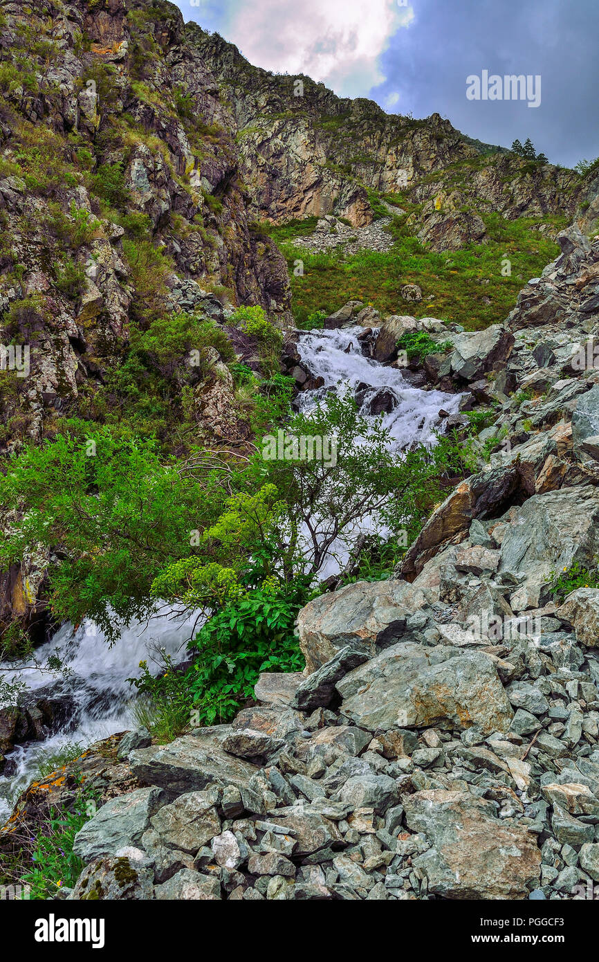 Mountain Creek avec des chutes d'eau coule sous les falaises de canyon entre rochers dans les montagnes de l'Altaï, en Russie - beau paysage d'été. Beauté de wild n Banque D'Images