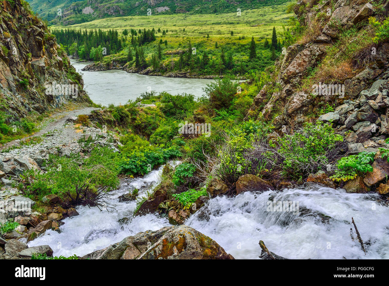 Mountain Creek coule sous les falaises de rochers dans le canyon entre la rivière Katun en montagnes de l'Altaï, en Russie - beau paysage d'été. Beauté de Banque D'Images