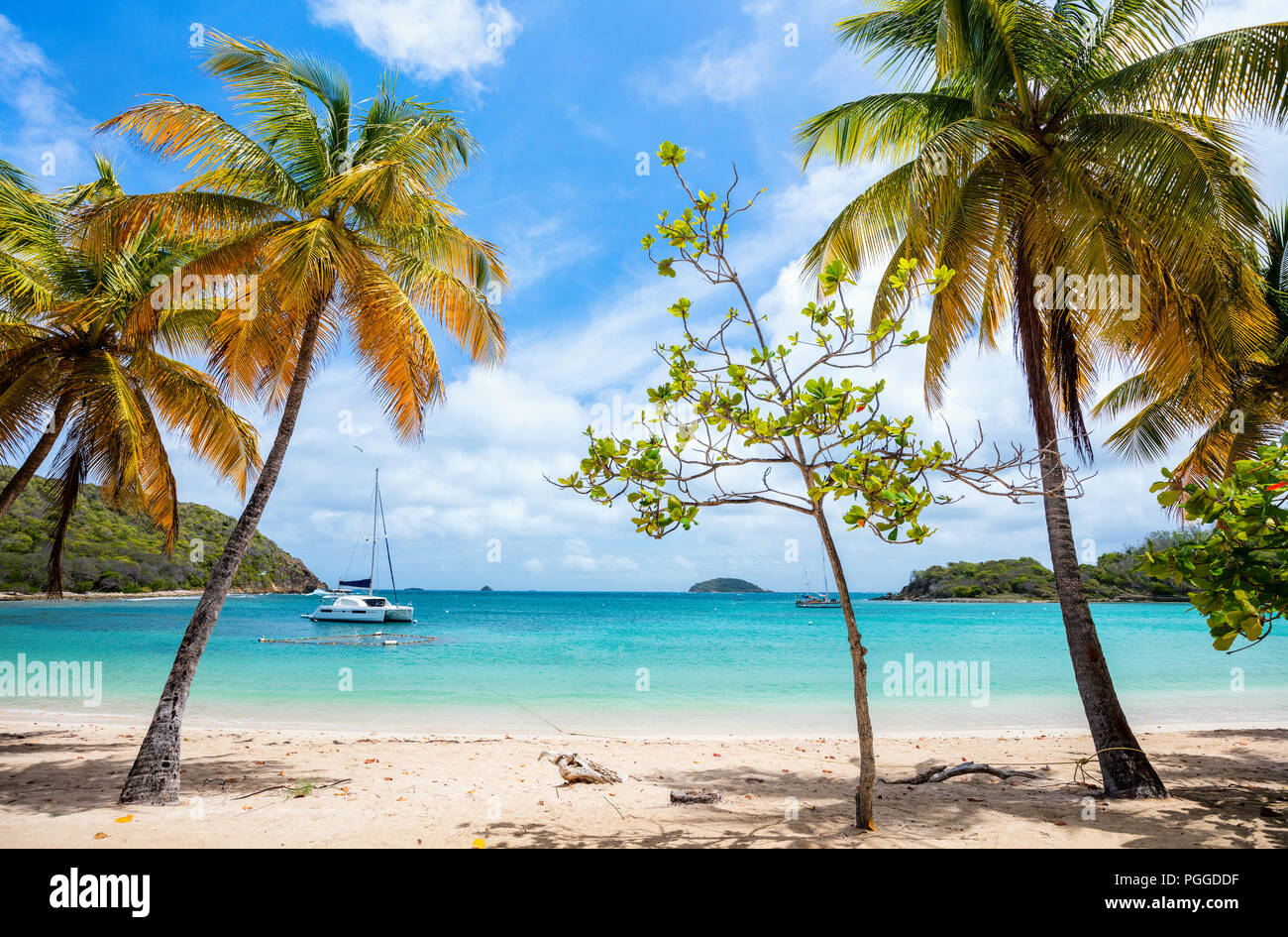 Tropical idyllique plage de sable blanc, les palmiers et la mer turquoise des Caraïbes de l'eau sur l'île de Mayreau à St Vincent et les Grenadines Banque D'Images