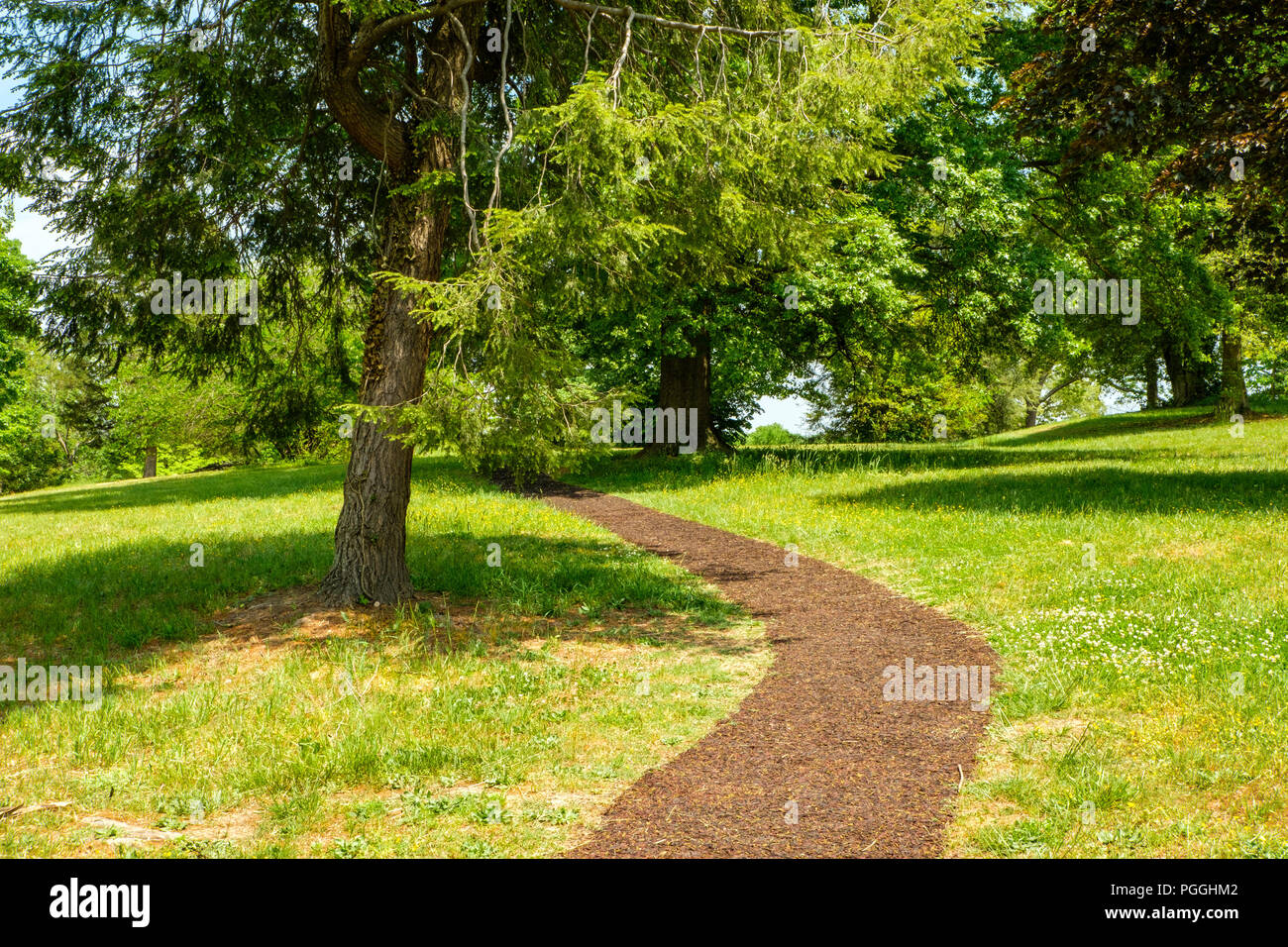 Chemin à travers Maryes Heights, Fredericksburg & Spotsylvania National Military Park, boulevard Lafayette, Fredericksburg, Virginia Banque D'Images