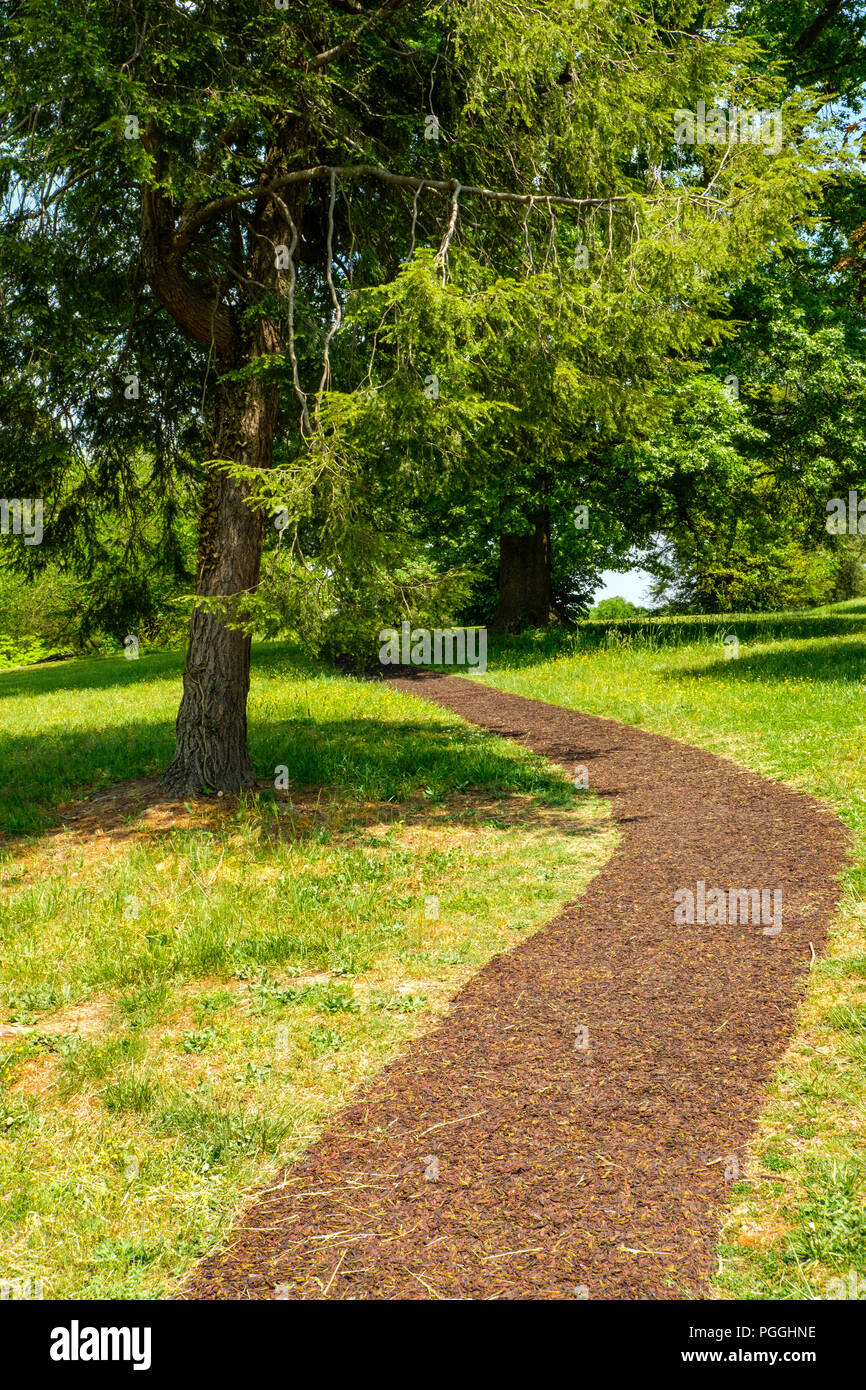 Chemin à travers Maryes Heights, Fredericksburg & Spotsylvania National Military Park, boulevard Lafayette, Fredericksburg, Virginia Banque D'Images