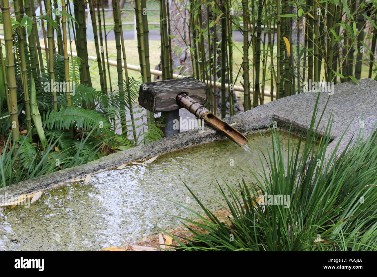 Le jardin de thé japonais dans le Golden Gate Park, San Francisco, CA, USA Banque D'Images