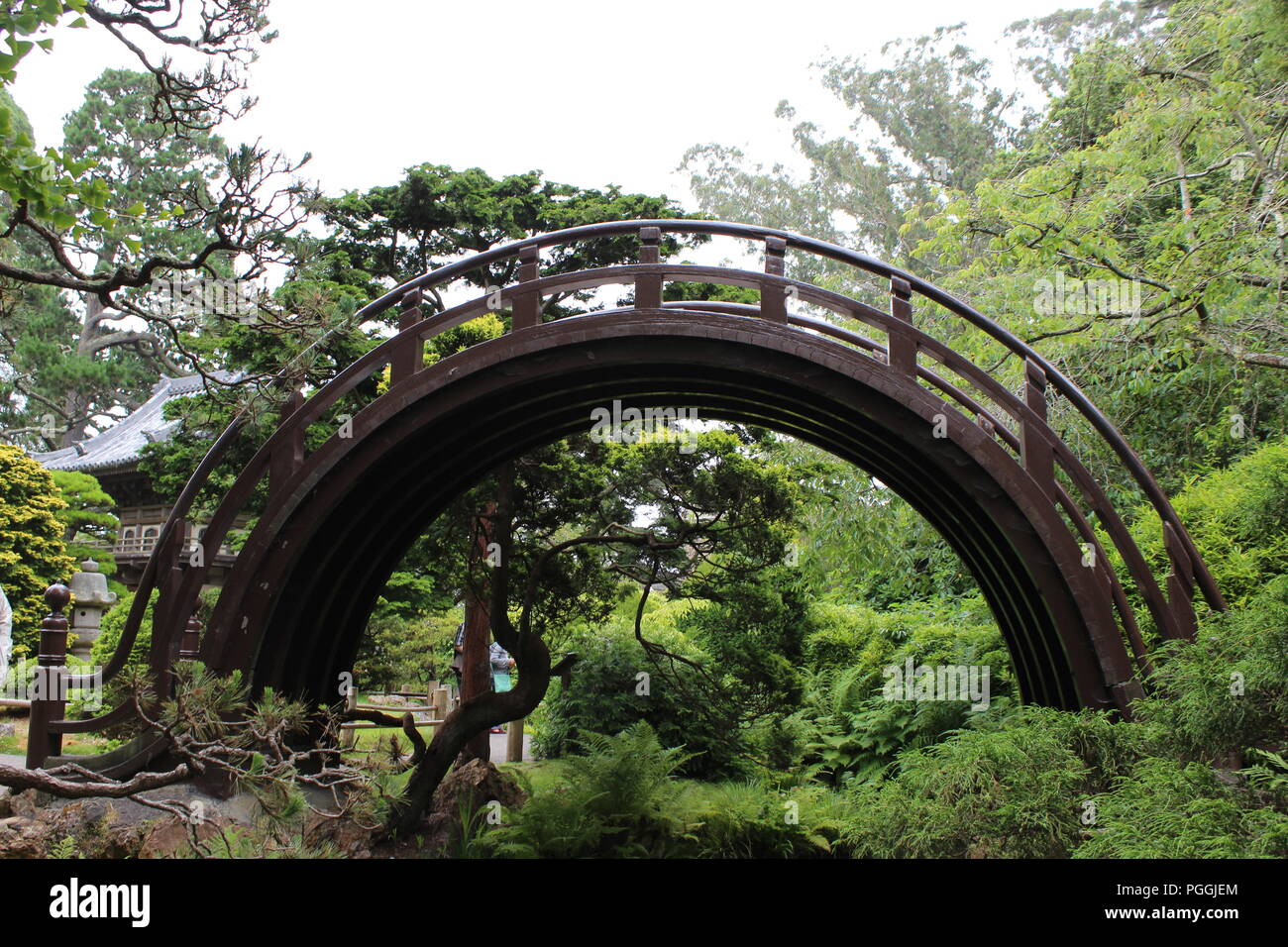 Le jardin de thé japonais dans le Golden Gate Park, San Francisco, CA, USA Banque D'Images