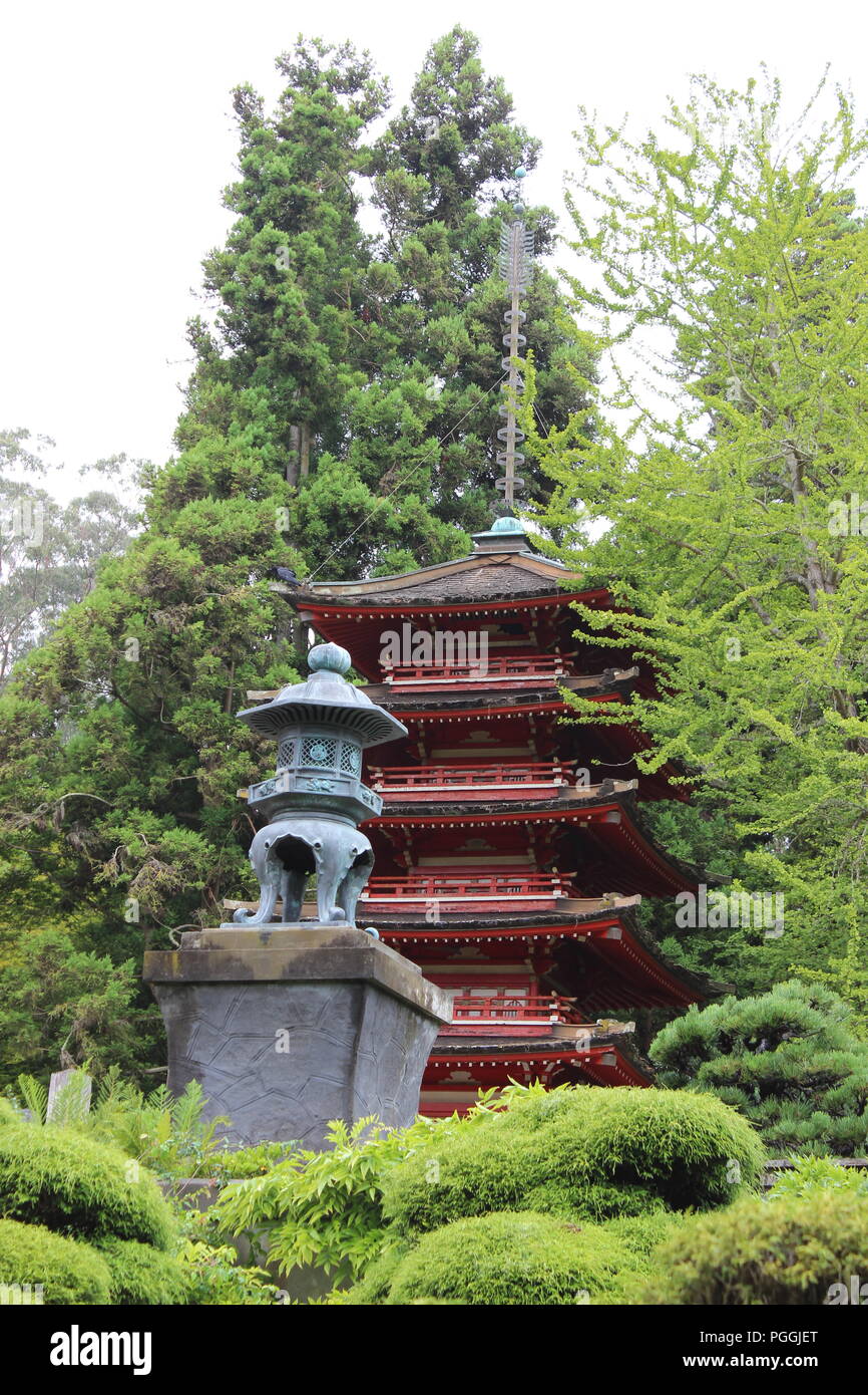 Le jardin de thé japonais dans le Golden Gate Park, San Francisco, CA, USA Banque D'Images
