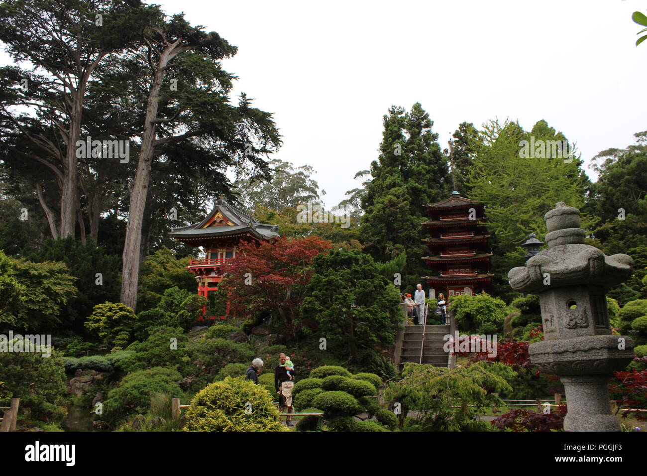 Le jardin de thé japonais dans le Golden Gate Park, San Francisco, CA, USA Banque D'Images