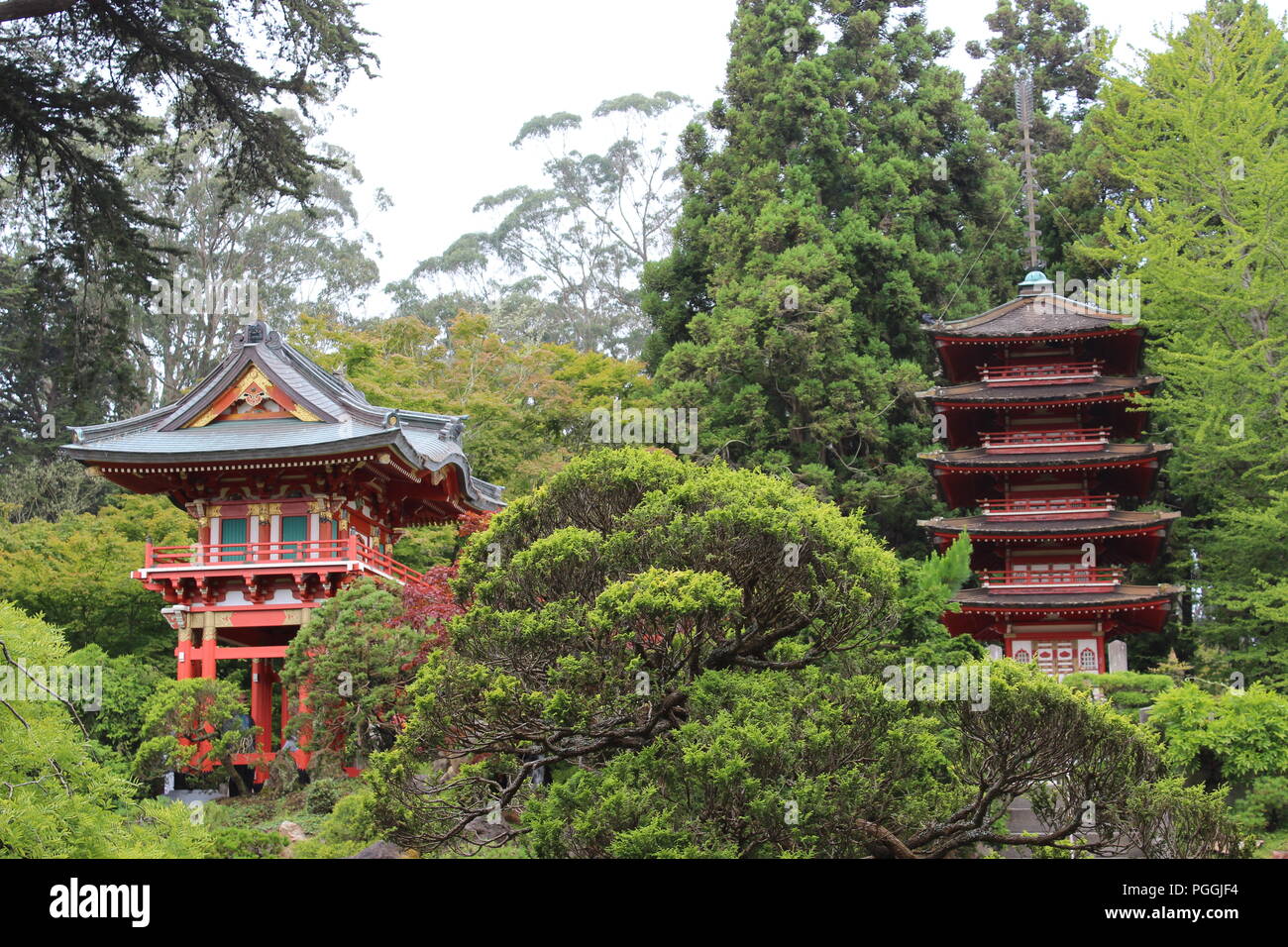 Le jardin de thé japonais dans le Golden Gate Park, San Francisco, CA, USA Banque D'Images