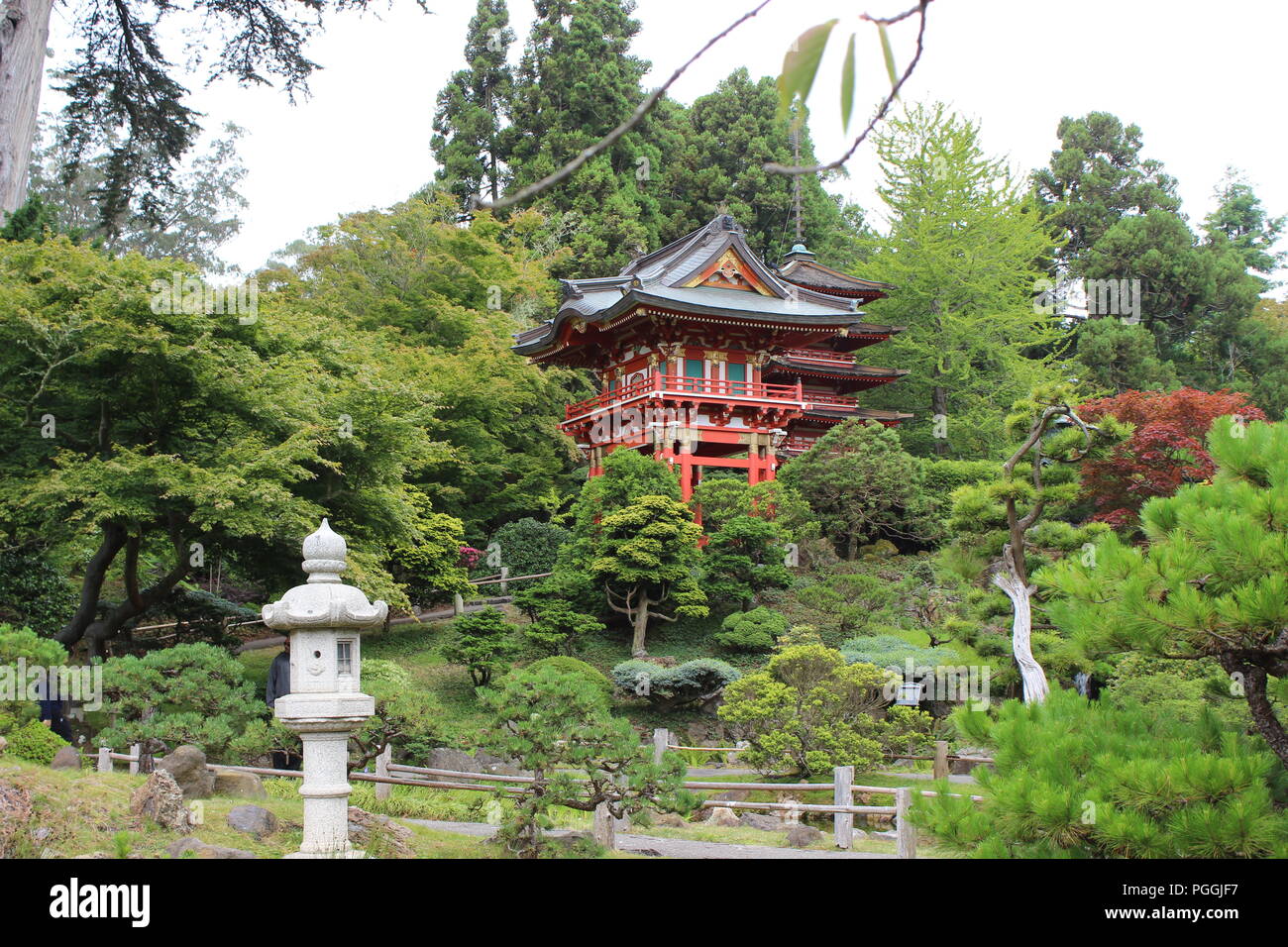 Le jardin de thé japonais dans le Golden Gate Park, San Francisco, CA, USA Banque D'Images