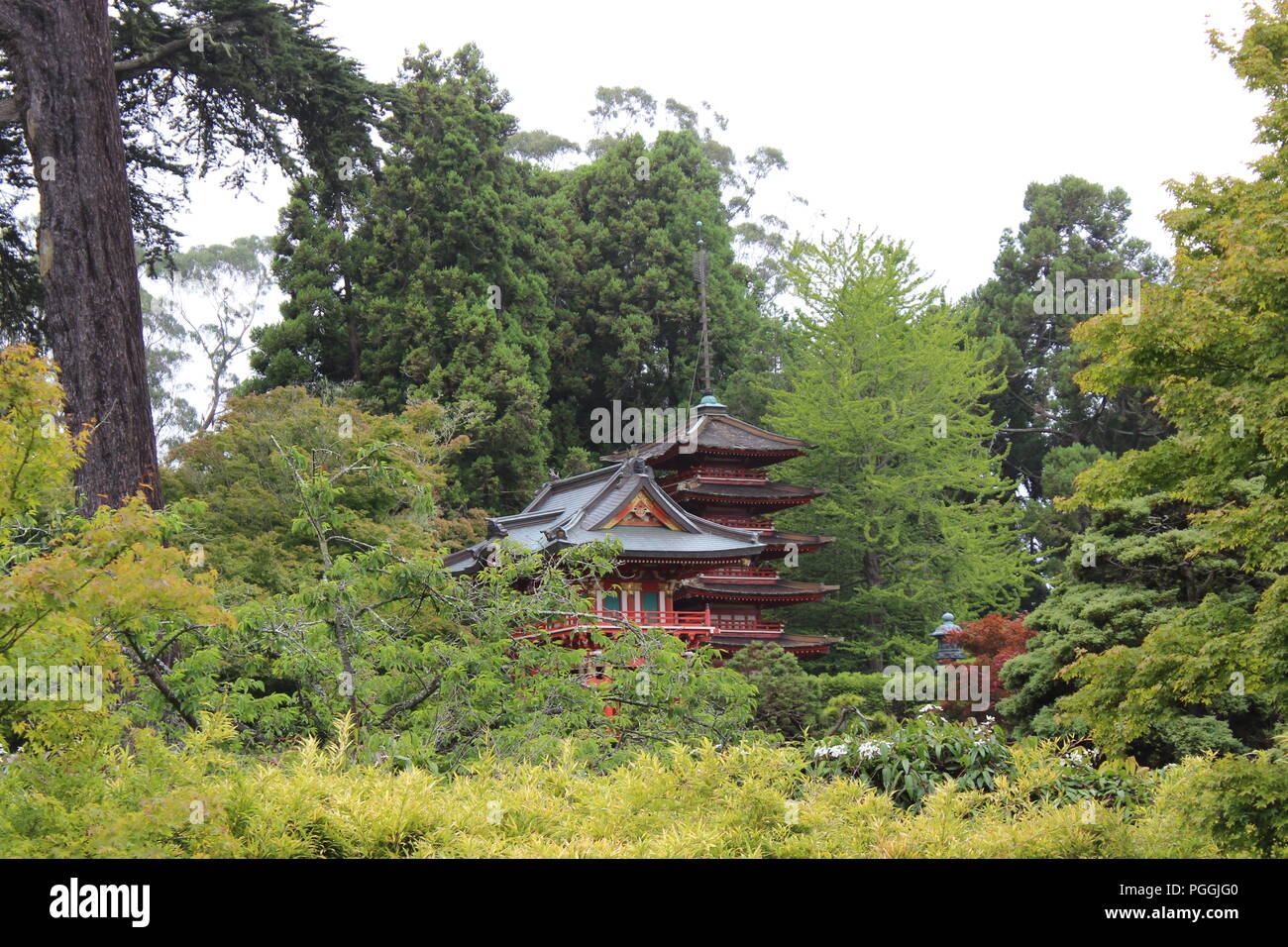 Le jardin de thé japonais dans le Golden Gate Park, San Francisco, CA, USA Banque D'Images