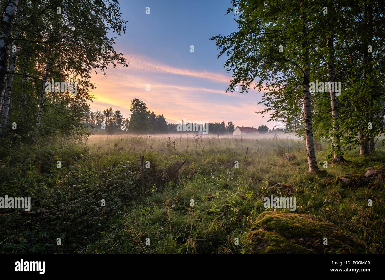 Terres agricoles idyllique avec vue sur la brume et coucher du soleil à soirée d'été à Mäntyharju, Finlande Banque D'Images