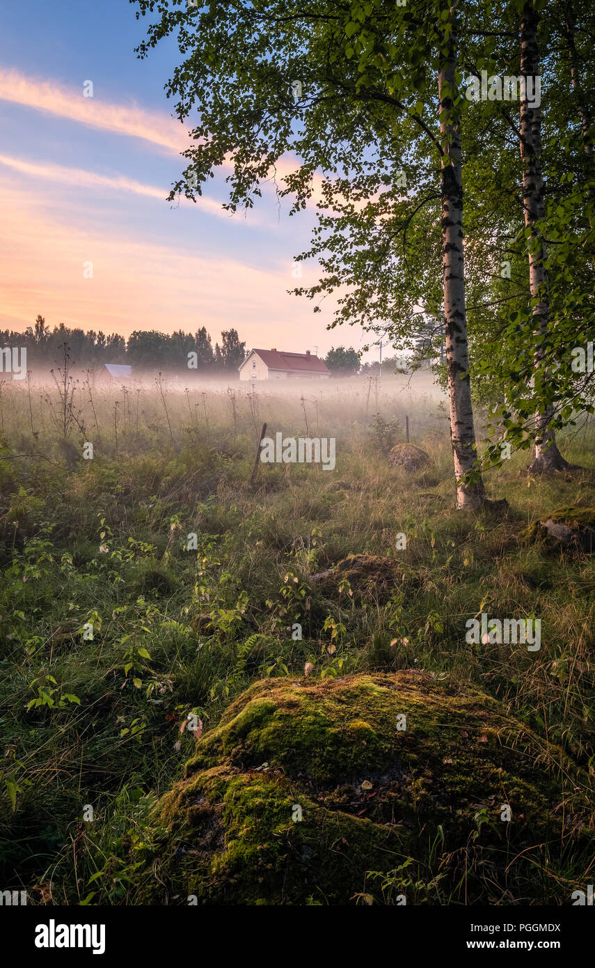 Terres agricoles idyllique avec vue sur la brume et coucher du soleil à soirée d'été à Mäntyharju, Finlande Banque D'Images