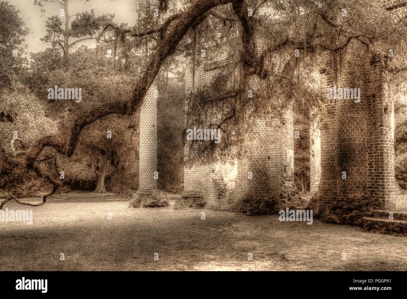 Ruines de l'église de Sheldon le comté de Beaufort en Caroline du Sud États-unis - brûlés par le général Sherman - Guerre civile - et le général Prevost - Guerre révolutionnaire Banque D'Images