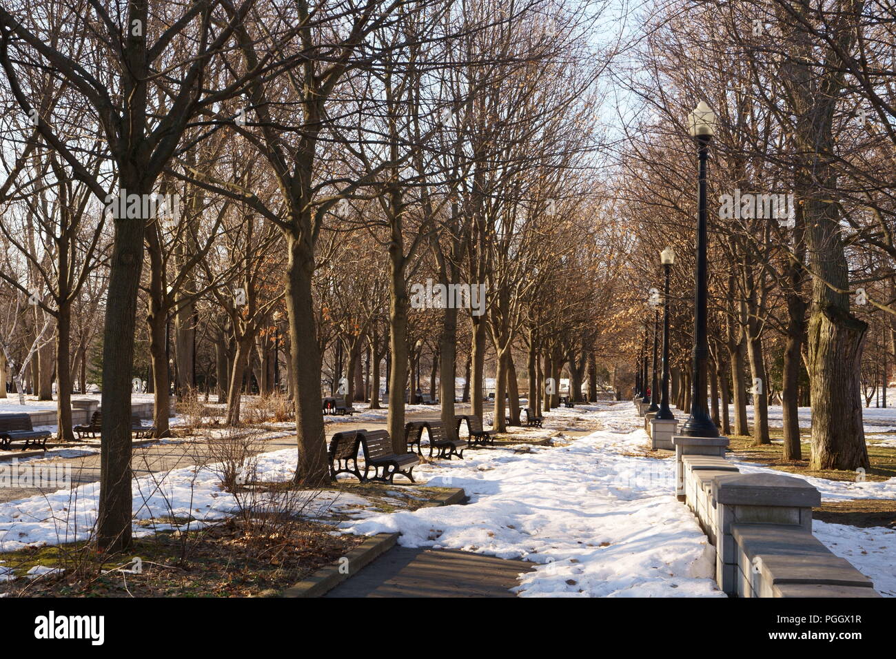 La neige fond après la première neige d'automne. Banque D'Images