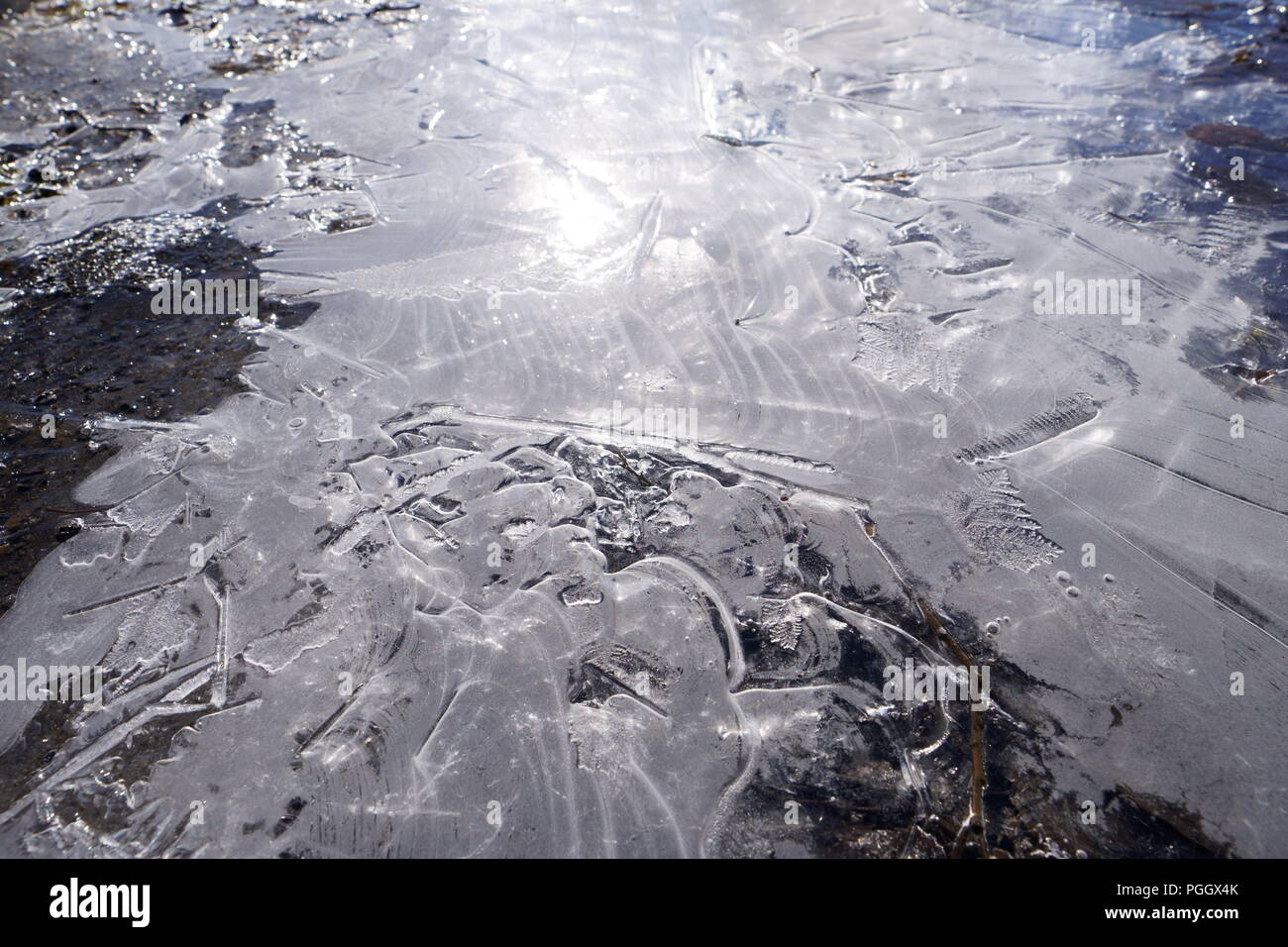 Flaque d'eau ont gelé pendant la nuit dans la ville. Croquant et la glace transparente est belle à regarder. Banque D'Images