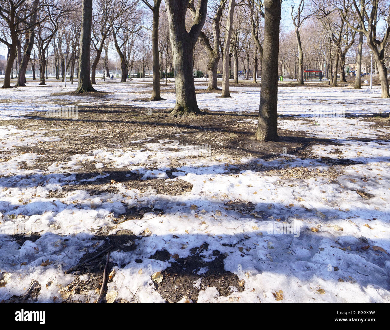 La neige fond après la première neige d'automne. Banque D'Images