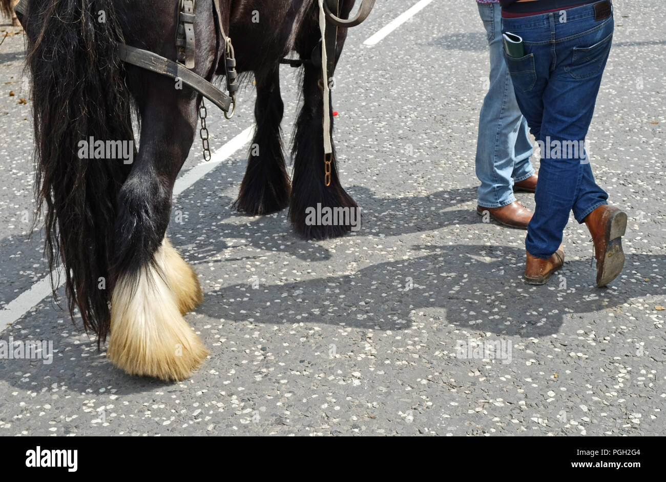 Les marchands de chevaux à Ballyclare May Fair, le comté d'Antrim. Banque D'Images