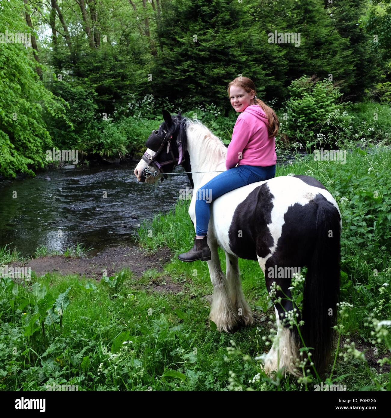 Jeune fille sur cheval pie par les Six Mile Water, Ballyclare, comté d'Antrim, en Irlande du Nord. Banque D'Images