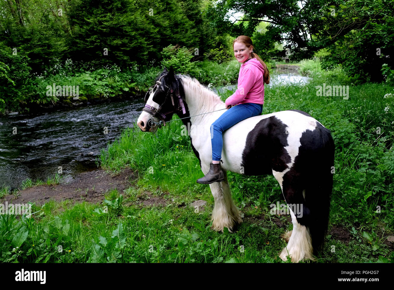 Jeune fille sur cheval pie par les Six Mile Water, Ballyclare, comté d'Antrim, en Irlande du Nord. Banque D'Images