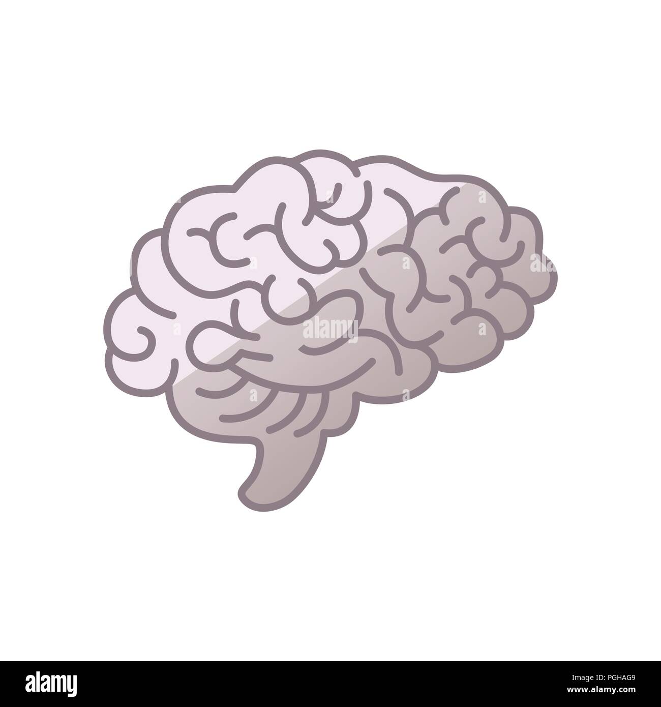 L'icône du cerveau humain, symbole de l'intellect, de l'étude, l'apprentissage et l'éducation. Illustration de Vecteur