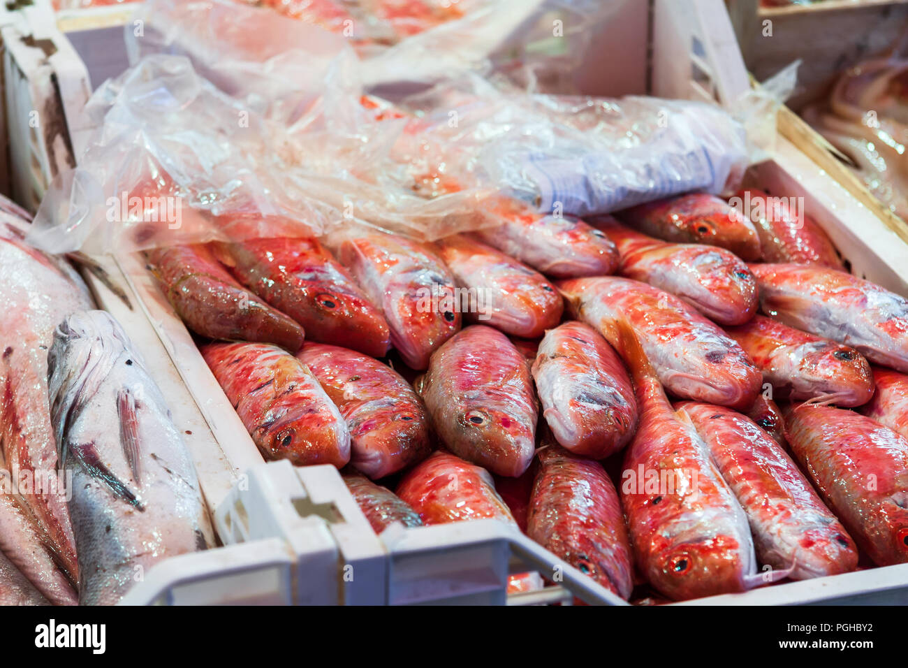 Rouget, marché aux poissons, Palerme, Sicile Banque D'Images