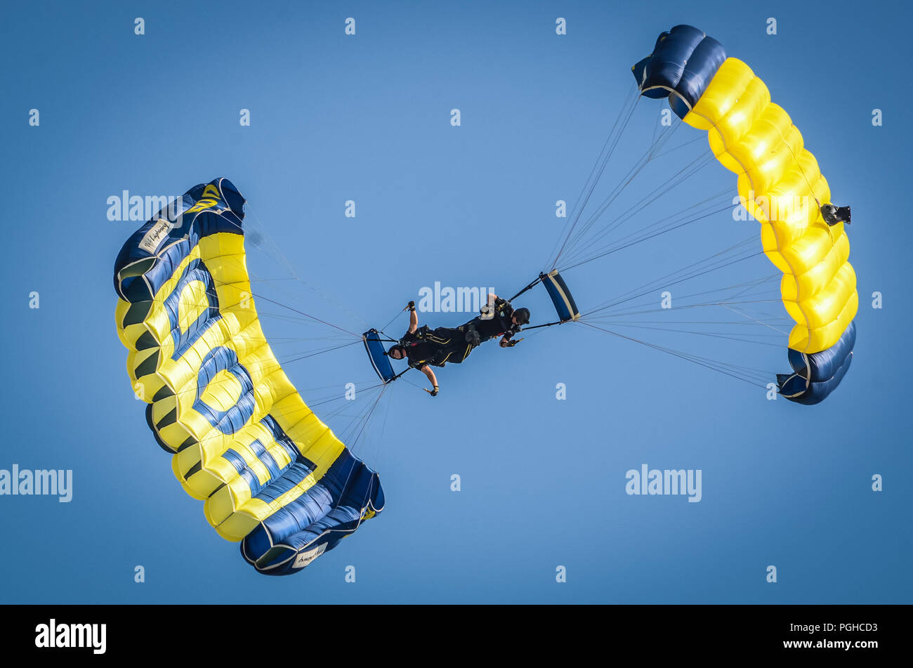 Les membres de l'équipe de parachutistes de la Marine américaine, le saut de grenouilles, d'effectuer des techniques de parachutisme pendant le son de la vitesse Air Show et portes ouvertes au-dessus de Rosecrans Memorial Airport, St., 25 août 2018. Le spectacle aérien a été accueilli par le 139e Airlift Wing, New York Air National Guard et la ville de Saint Joseph pour remercier la communauté pour leur soutien. Le spectacle aérien quelque 45 000 Comité de personnes ont assisté à la performance samedi. (U.S. Photo de la Garde nationale aérienne par le sergent. Patrick Evenson) Banque D'Images Les membres de l'équipe de parachutistes de la Marine américaine, le saut de grenouilles, d'effectuer des techniques de parachutisme pendant le son de la vitesse Air Show et portes ouvertes au-dessus de Rosecrans Memorial Airport, St., 25 août 2018. Le spectacle aérien a été accueilli par le 139e Airlift Wing, New York Air National Guard et la ville de Saint Joseph pour remercier la communauté pour leur soutien. Le spectacle aérien quelque 45 000 Comité de personnes ont assisté à la performance samedi. (U.S. Photo de la Garde nationale aérienne par le sergent. Patrick Evenson) Banque D'Images