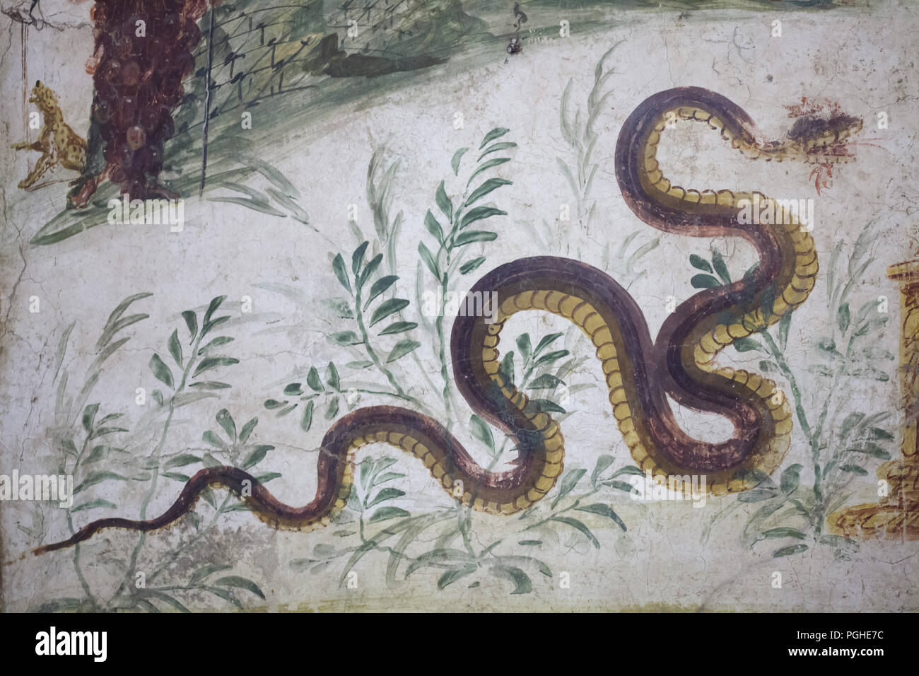 Serpent représenté dans la fresque romaine de la maison du Centenaire (Casa del Centenario) à Pompéi, aujourd'hui exposées dans le Musée Archéologique National (Museo Archeologico Nazionale di Napoli) à Naples, Campanie, Italie. Banque D'Images