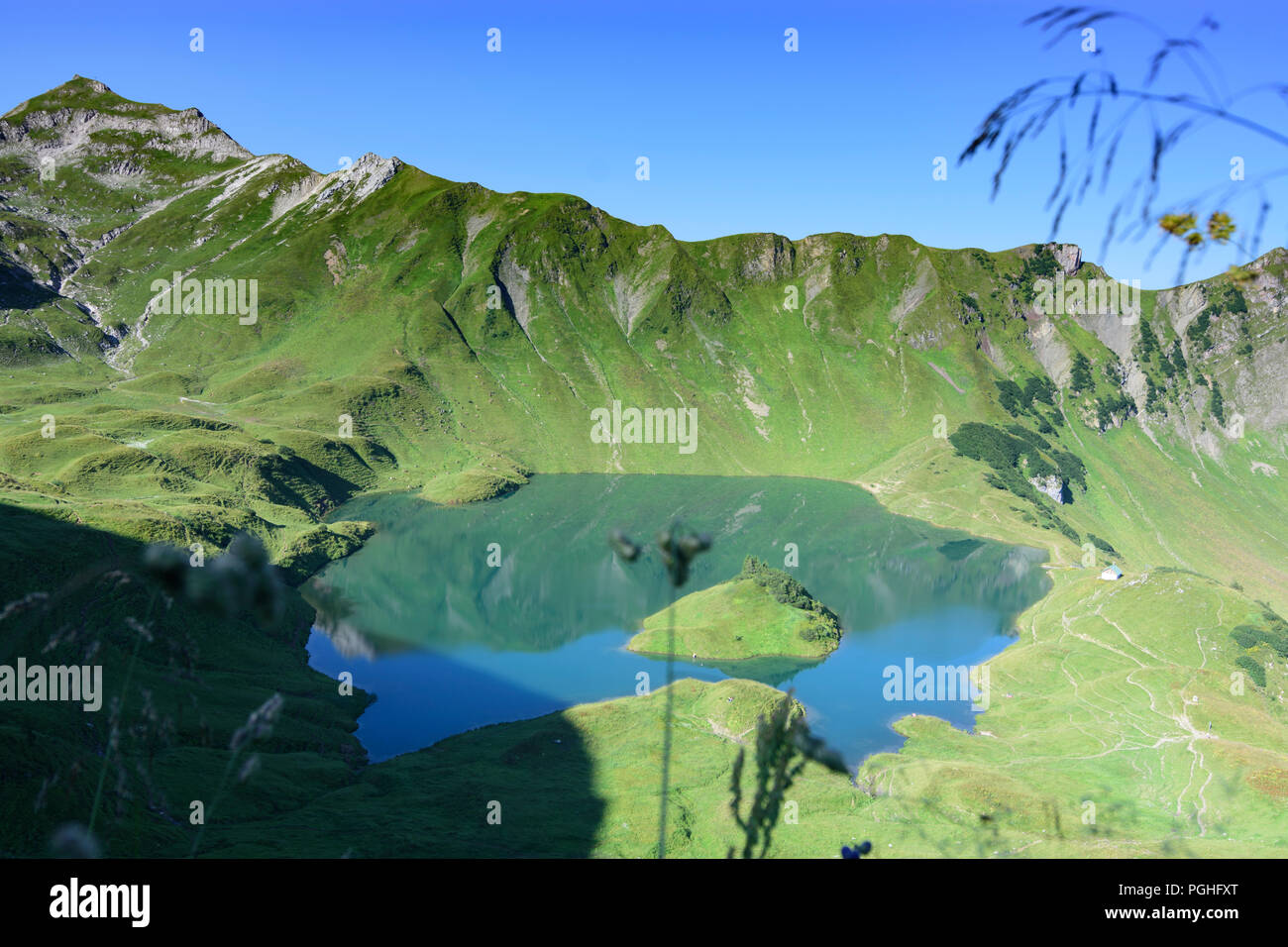 Schrecksee Allgäuer Alpen : lac, fleurs, ALP, Schwaben, Allgäu, souabe, Bayern, Bavière, Allemagne Banque D'Images