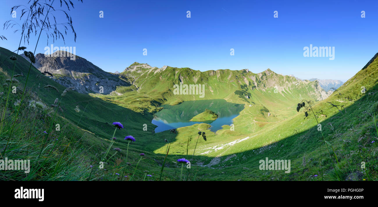 Schrecksee Allgäuer Alpen : lac, fleurs, ALP, Schwaben, Allgäu, souabe, Bayern, Bavière, Allemagne Banque D'Images