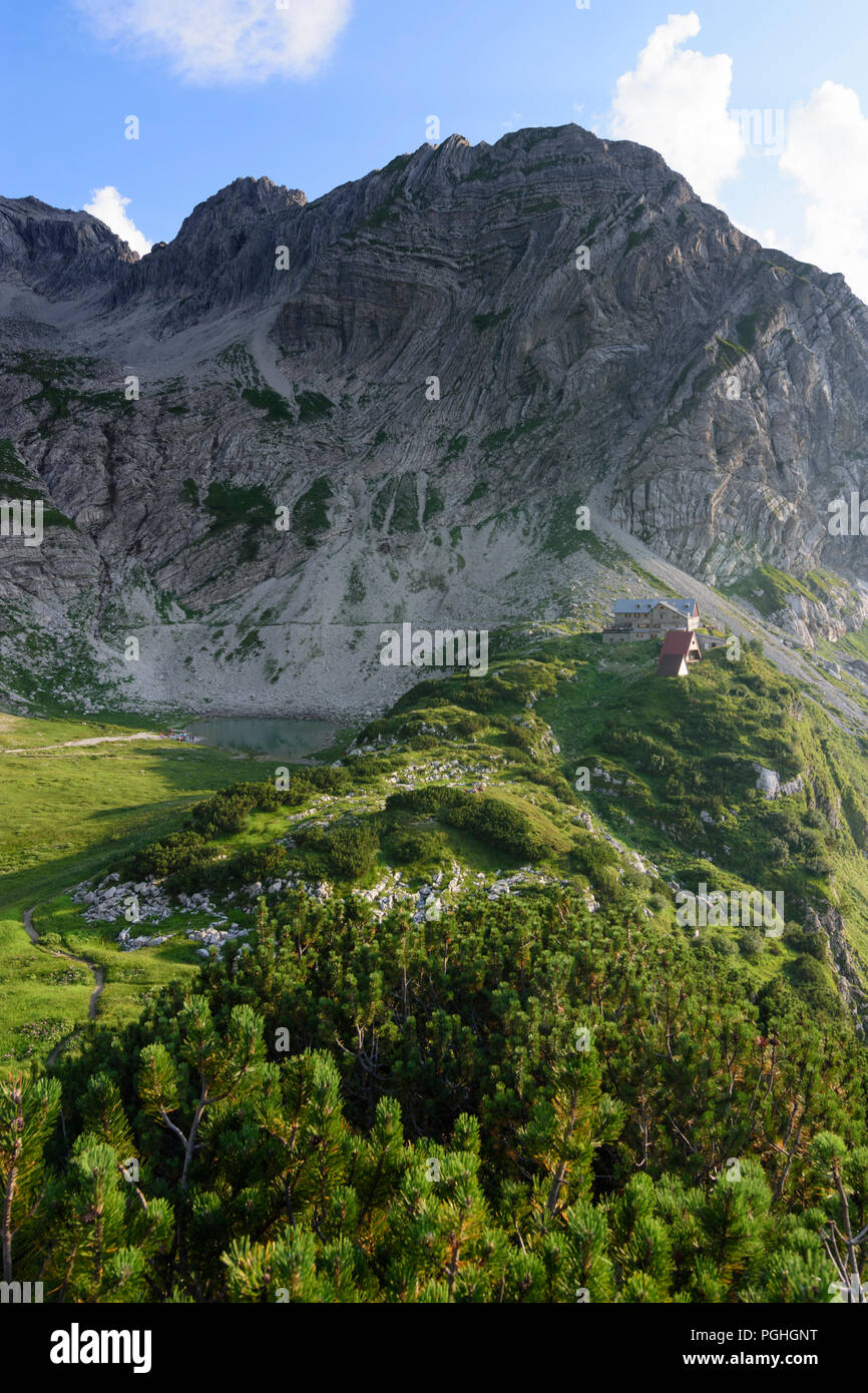 Allgäuer Alpen : Prinz-Luitpold-Haus, fleurs, sommet des Wiedemerkopf avec dolomite principale pliage, Schwaben, Allgäu, souabe, Bayern, Bavaria, Banque D'Images