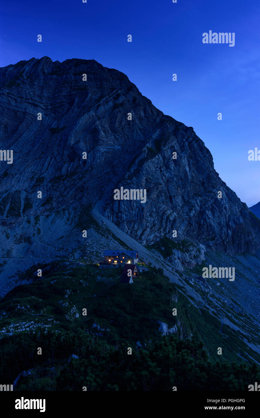Allgäuer Alpen : Prinz-Luitpold-Haus, fleurs, sommet des Wiedemerkopf avec dolomite principale pliage, Schwaben, Allgäu, souabe, Bayern, Bavaria, Banque D'Images