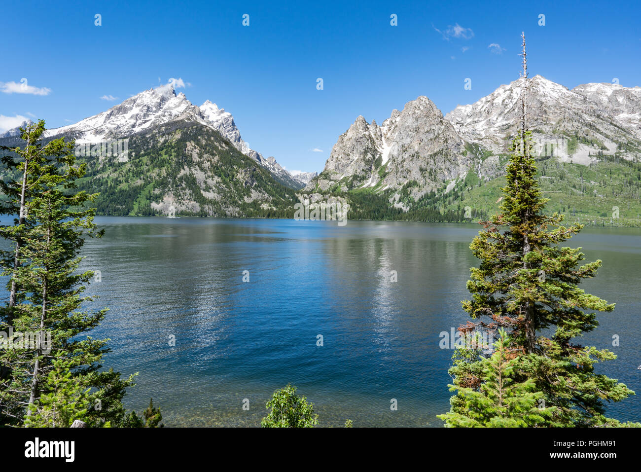 Jenny Lake Teton National Park, Wyoming Banque D'Images