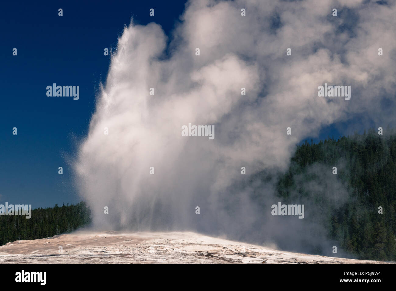 Old Faithful Geyser Yellowstone National Park Banque D'Images
