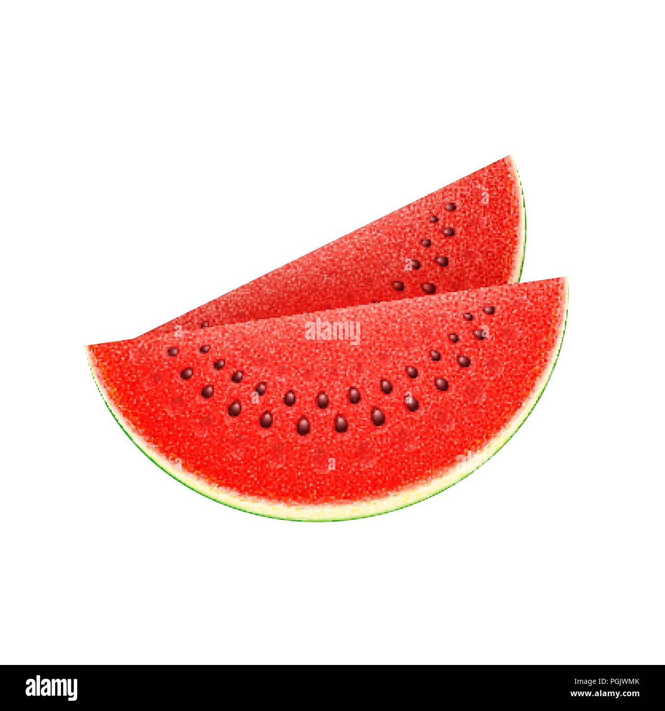 Réaliste de pastèque les fruits tranchés, vector Illustration de Vecteur