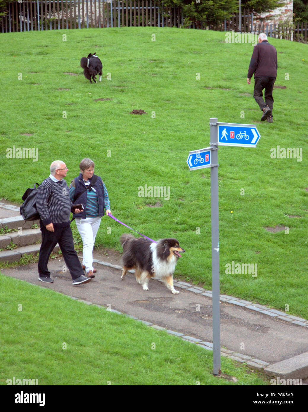 Le Loch Lomond, Glasgow, Ecosse, Royaume-Uni. 27 août, 2018. La pluie Météo Royaume-uni renvoie pour bank holiday weather dog walkers comme touristes perplexes vagabondent Balloch, Loch Lomond, essayant de figurer dehors où les gens sont aussi ses pas une banque en Écosse qu'ils sont au travail. Gérard Ferry/Alamy news Banque D'Images