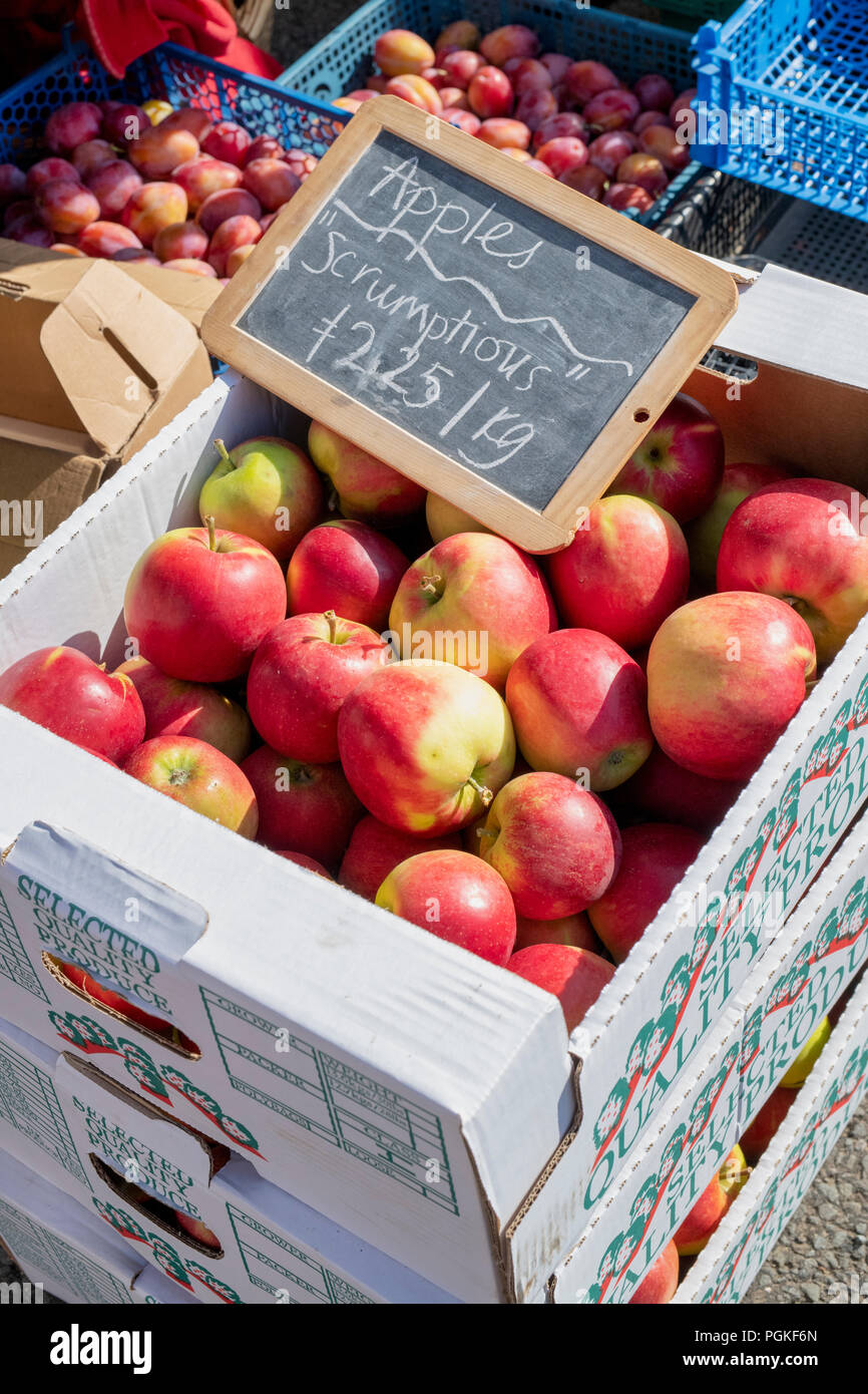 Bloquer la vente de pommes à Deddington farmers market. Deddington, Oxfordshire, Angleterre Banque D'Images