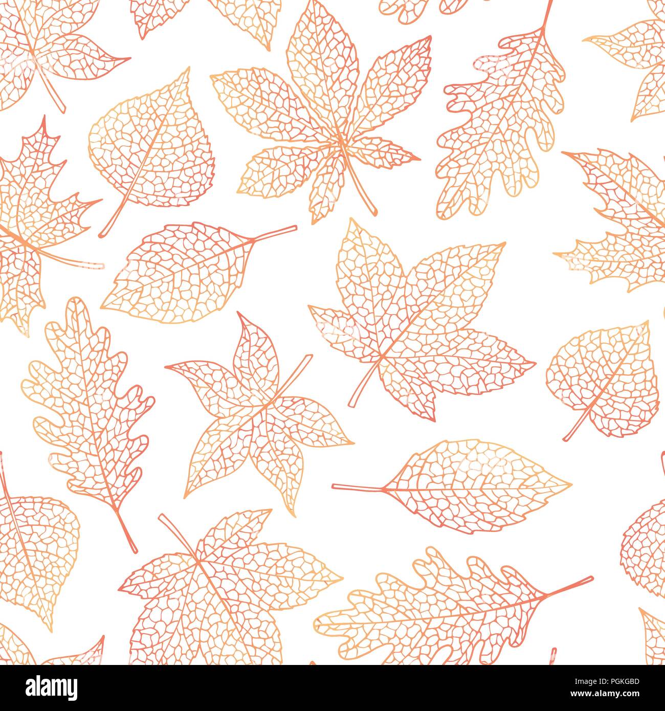 Modèle sans couture automne vecteur avec le chêne, peuplier, hêtre, érable, peuplier et feuilles marron d'exposer sur le fond blanc. Ligne de chute art de folia Illustration de Vecteur