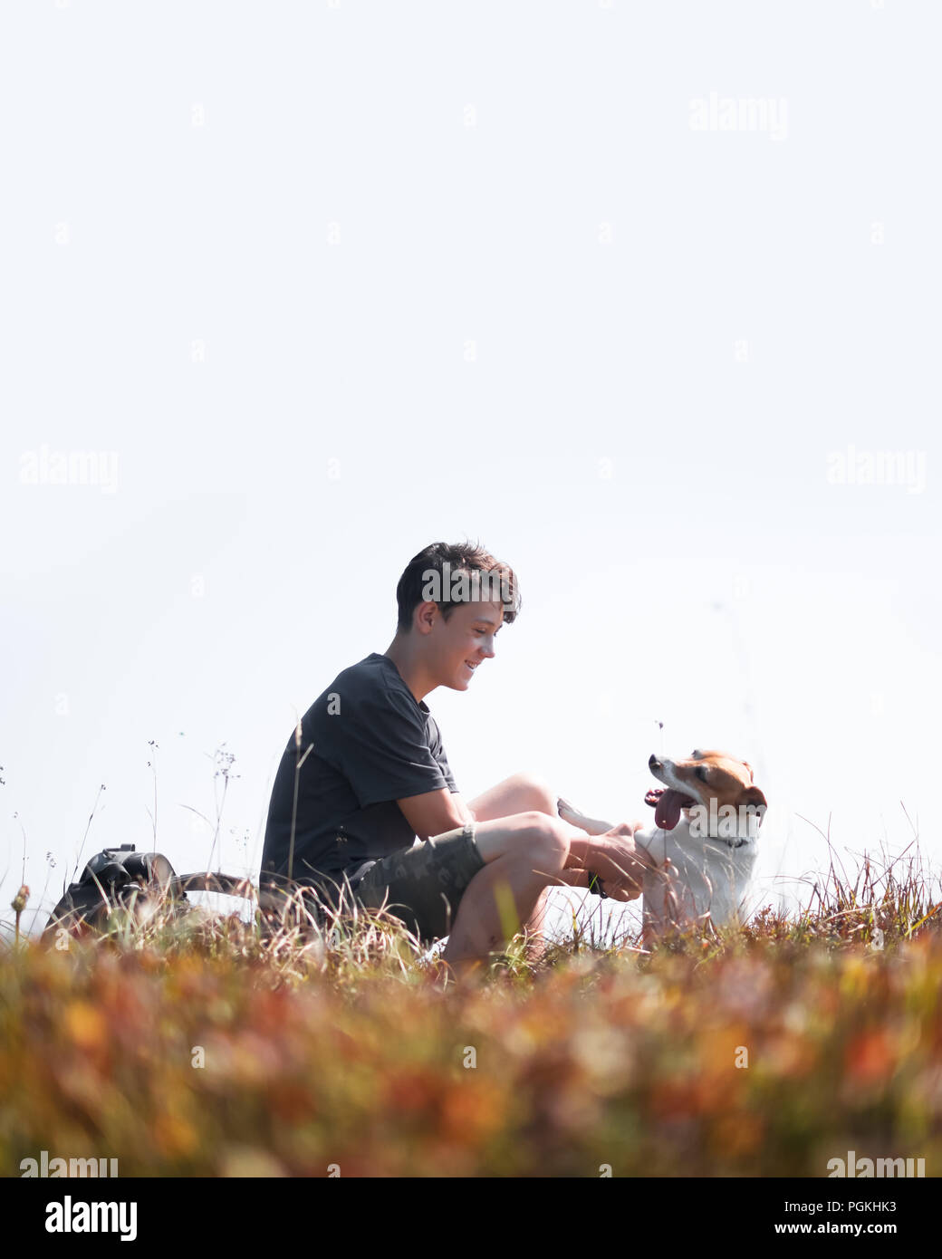 Adolescent sur la pelouse d'automne avec petit chien blanc Banque D'Images