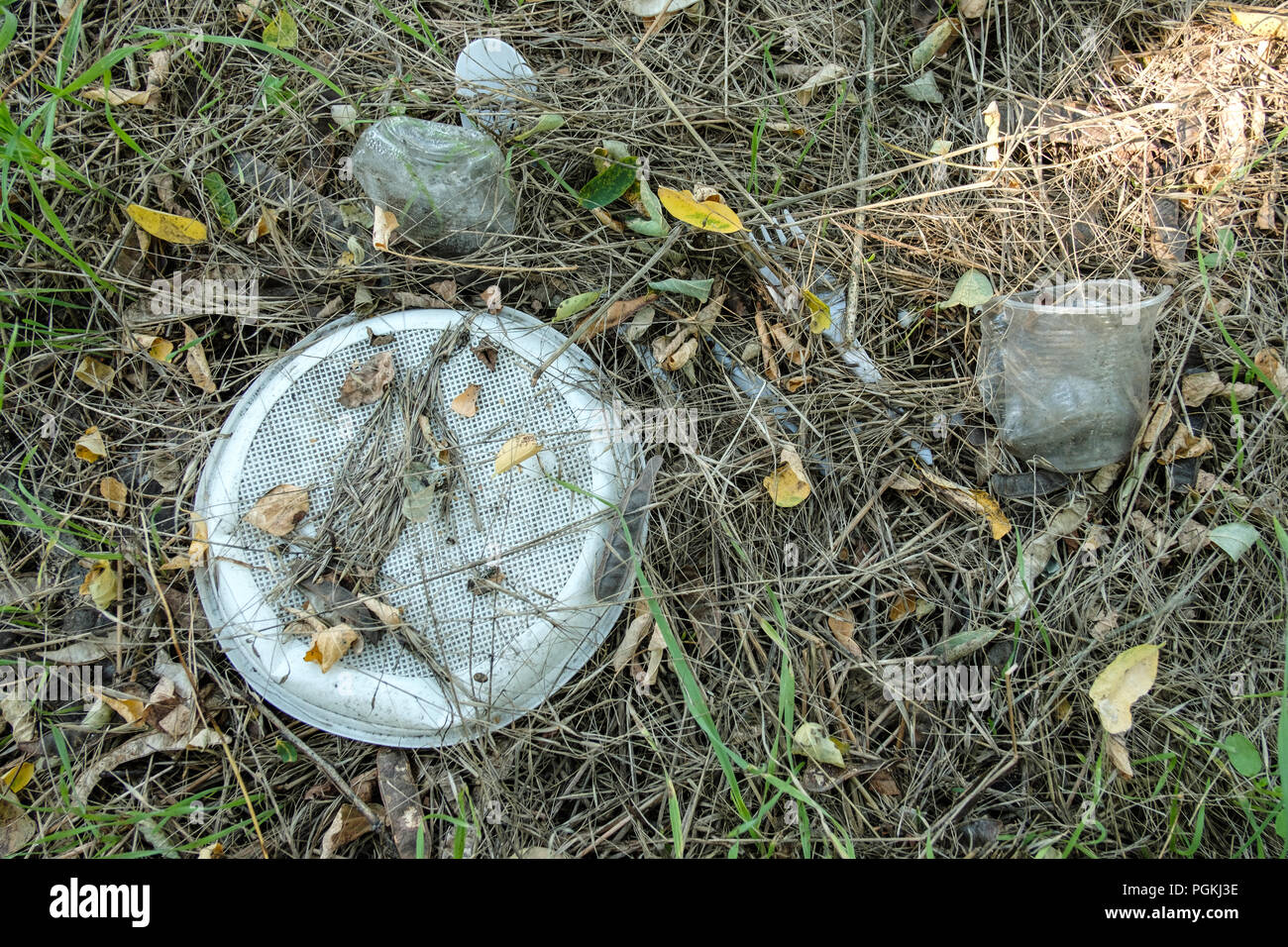 Les déchets plastiques sur la nature de l'herbe pousse. La vaisselle en plastique. Banque D'Images