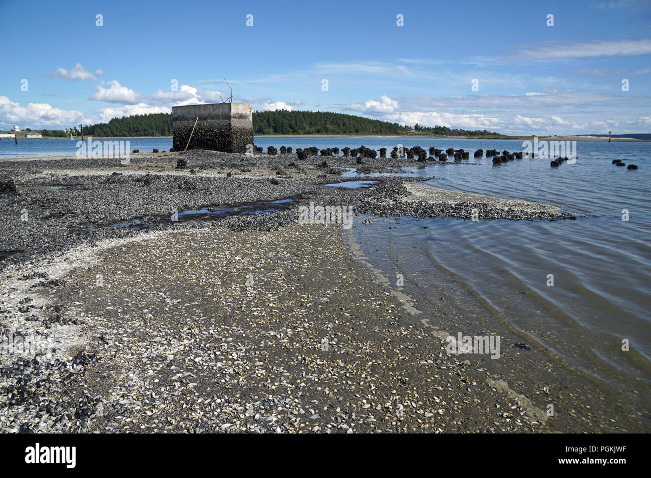 Oak Harbor, l'ancien quai, Washington, USA Banque D'Images