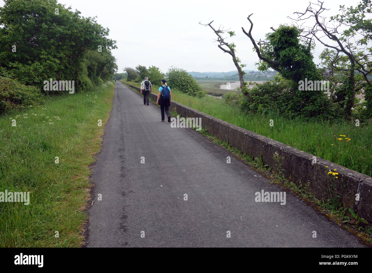 Un couple en train de marcher sur la piste de l'ancienne ligne de chemin de fer entre Braunton & Barnstaple sur le chemin côtier du sud-ouest, Devon, Angleterre, Royaume-Uni. Banque D'Images