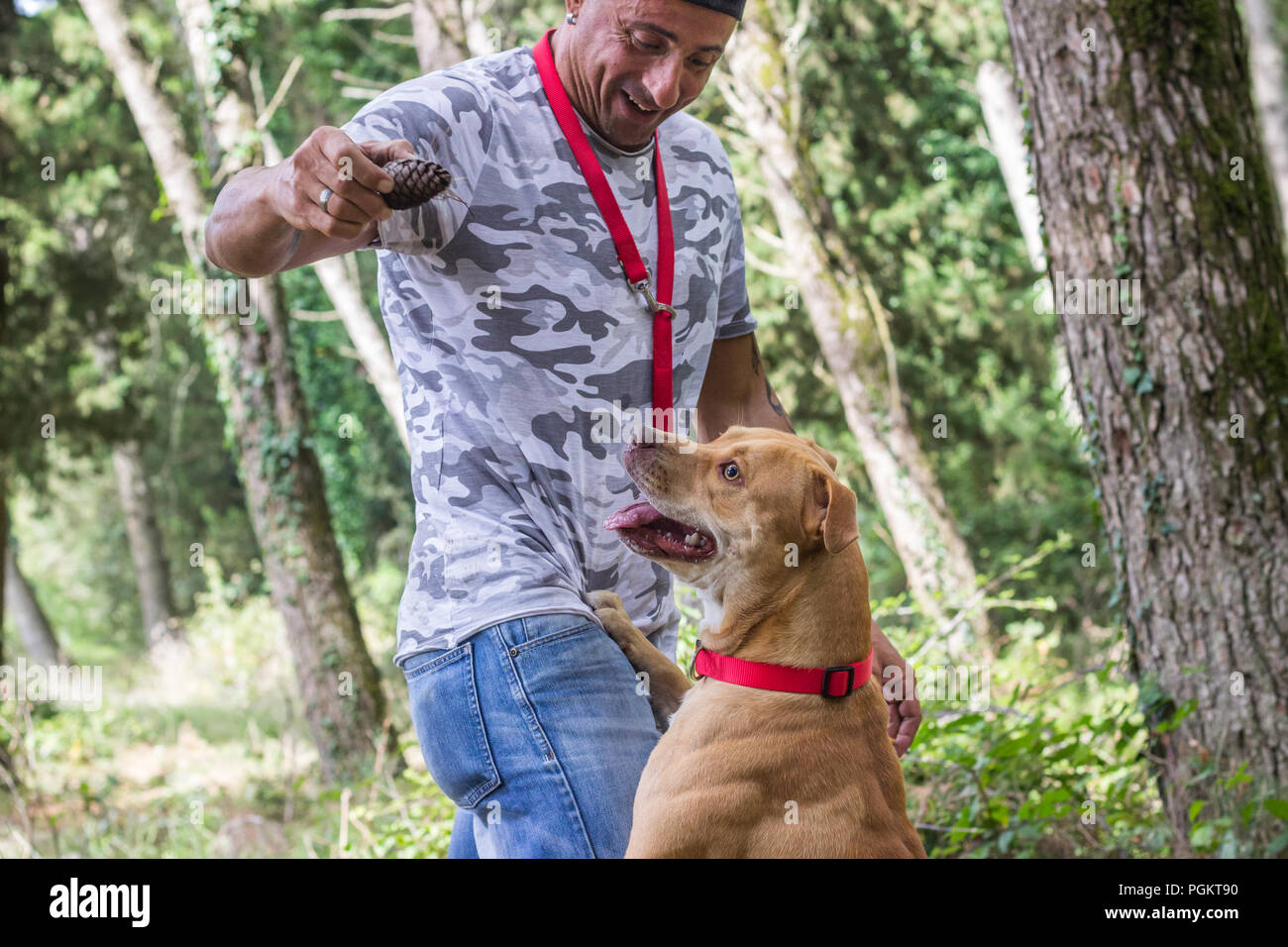 La formation de l'homme chien pit bull animal à l'extérieur de la forêt Banque D'Images