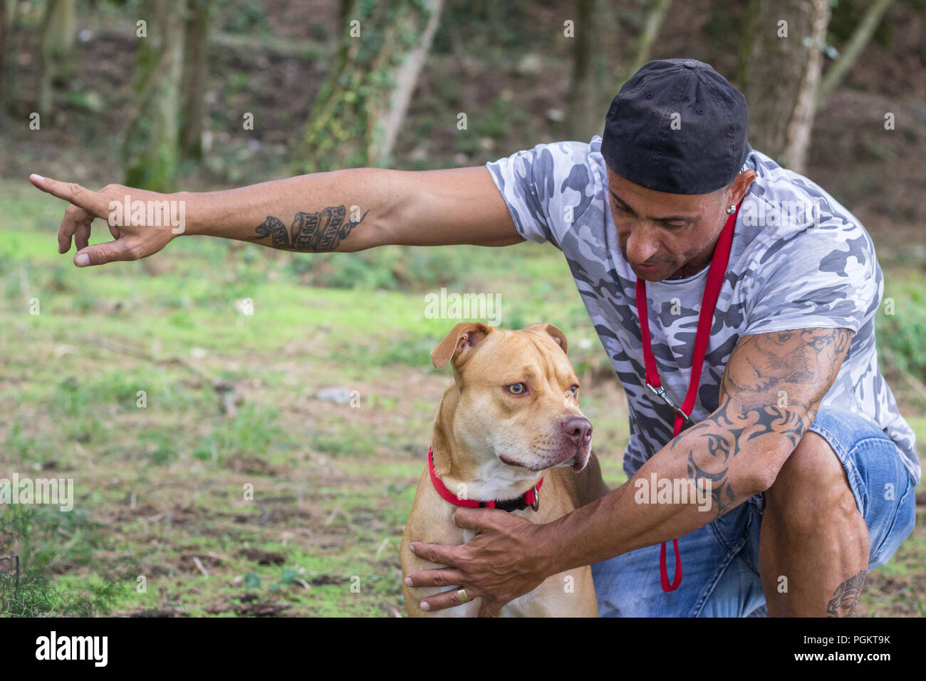 La formation de l'homme chien pit bull animal à l'extérieur de la forêt Banque D'Images