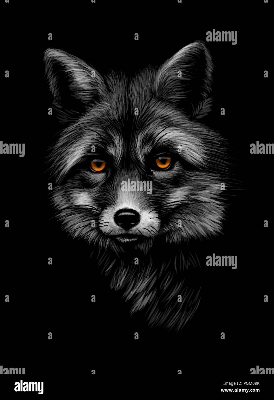 Portrait d'une tête de renard sur fond noir Illustration de Vecteur